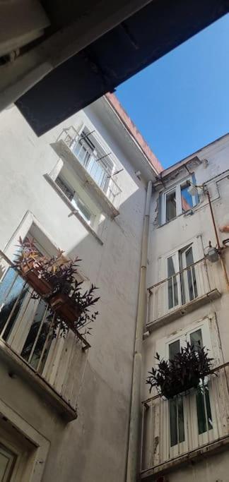 Modern Hospitality Naples Exclusive Stay Exterior foto